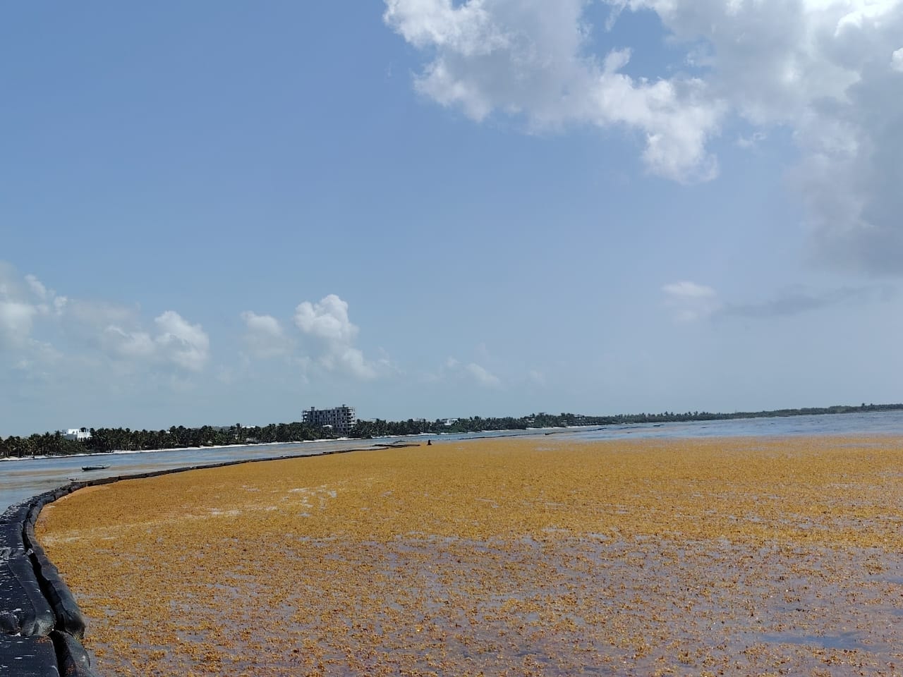 Golden Tides® Nearshore coastal operations